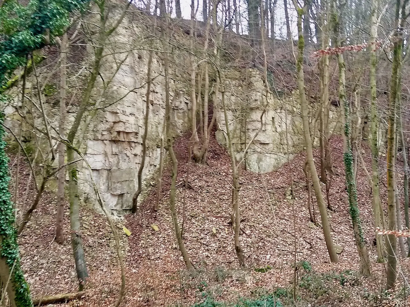Вид карьера: Knap House Quarry, Birdlip, Gloucestershire - 1
