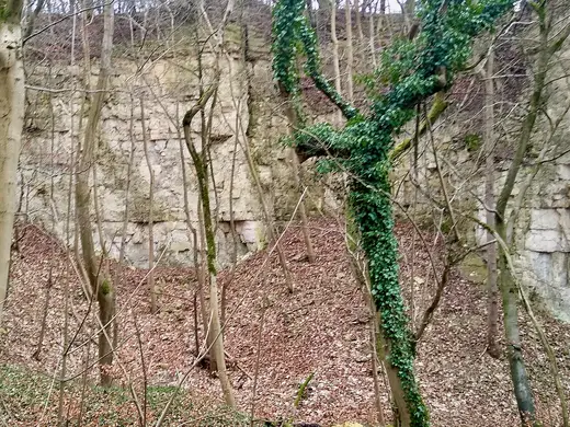 Вид карьера: Knap House Quarry, Birdlip, Gloucestershire - 2