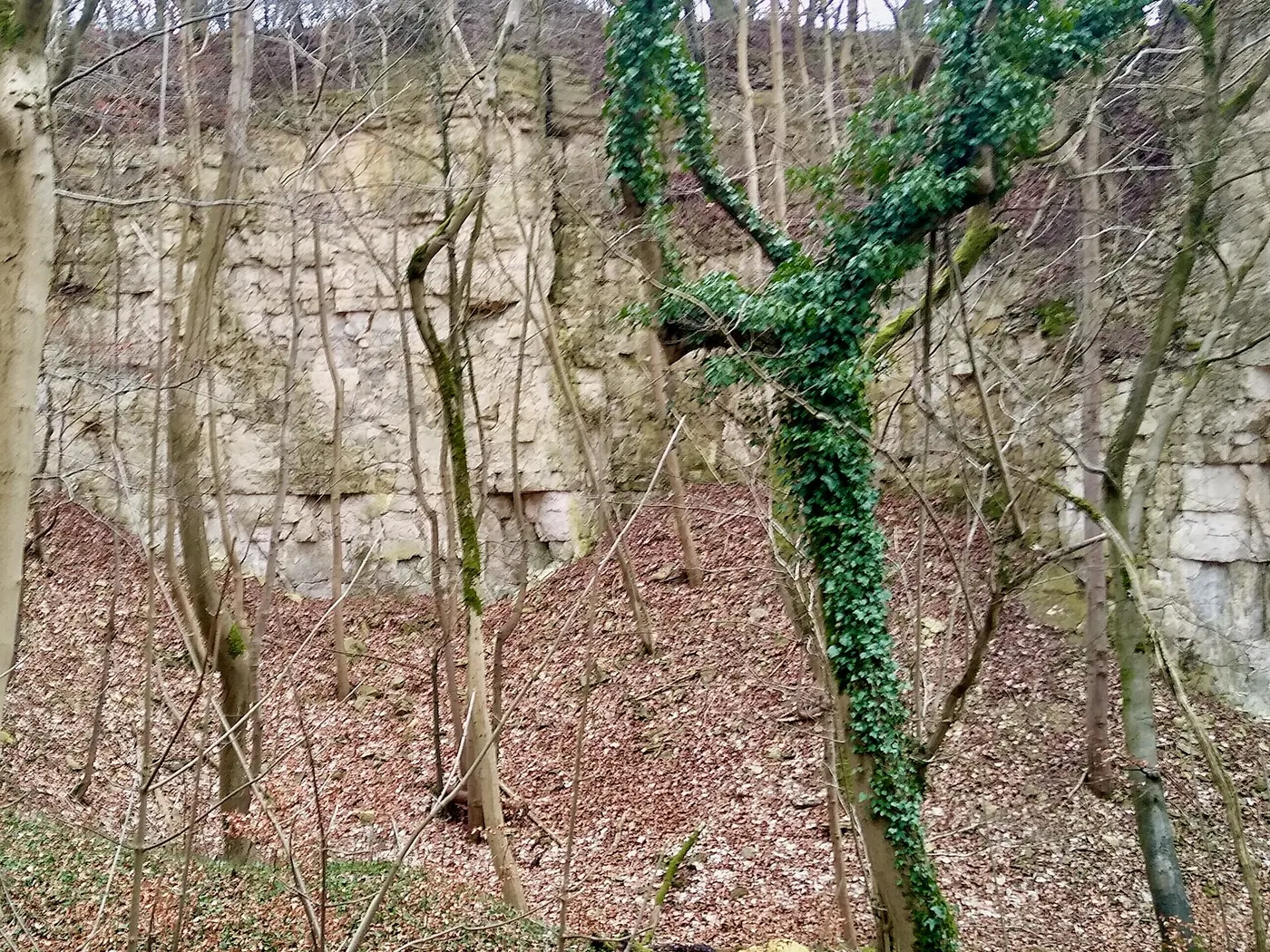 Quarry view: Knap House Quarry, Birdlip, Gloucestershire - 2