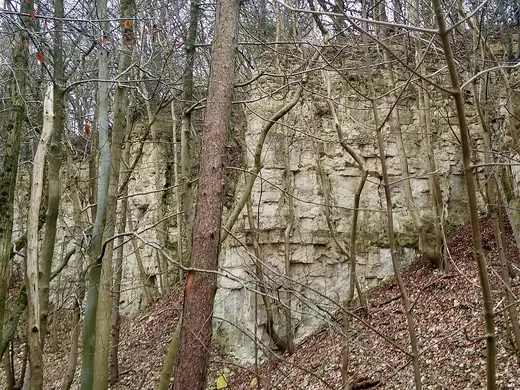 Вид карьера: Knap House Quarry, Birdlip, Gloucestershire - 3