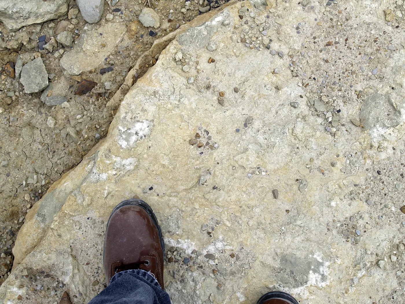 Vista de cantera: Maxville Limestone (Mississippian; Pleasant Valley LImestone Quarry, Muskingum County, Ohi