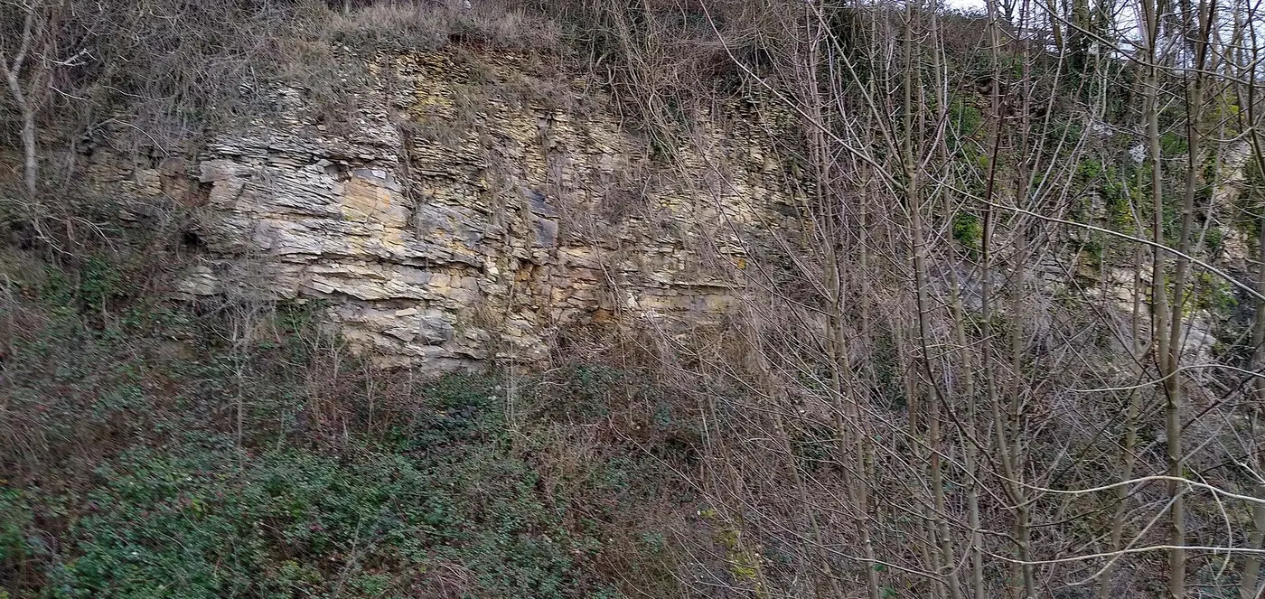 Veduta di cava: Former quarry, Coaley Peak, Gloucestershire - 1