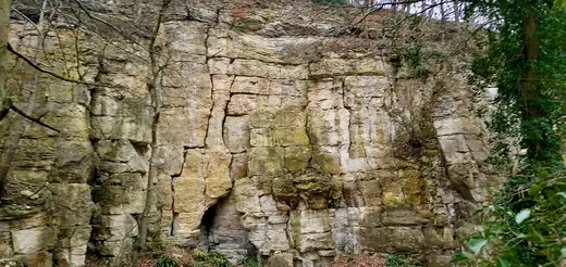 Vista de cantera: Former quarry, near Crawley Hill, Uley, Gloucestershire - 1