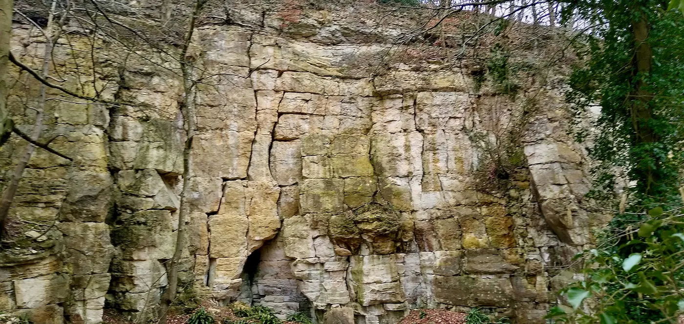 Steinbruchansicht: Former quarry, near Crawley Hill, Uley, Gloucestershire - 1
