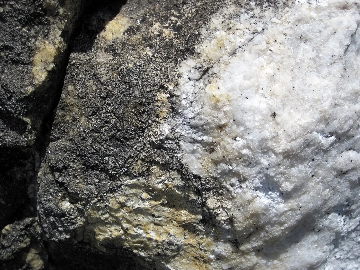 Поверхность плиты: Dolomitized marble in marble (Gouverneur Marble, Mesoproterozoic, ~1.1 Ga; Route 11 roadcu