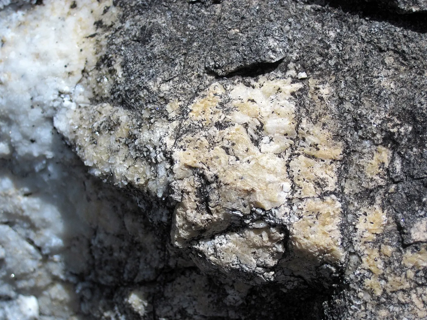 Поверхность плиты: Dolomitized marble in marble (Gouverneur Marble, Mesoproterozoic, ~1.1 Ga; Route 11 roadcu