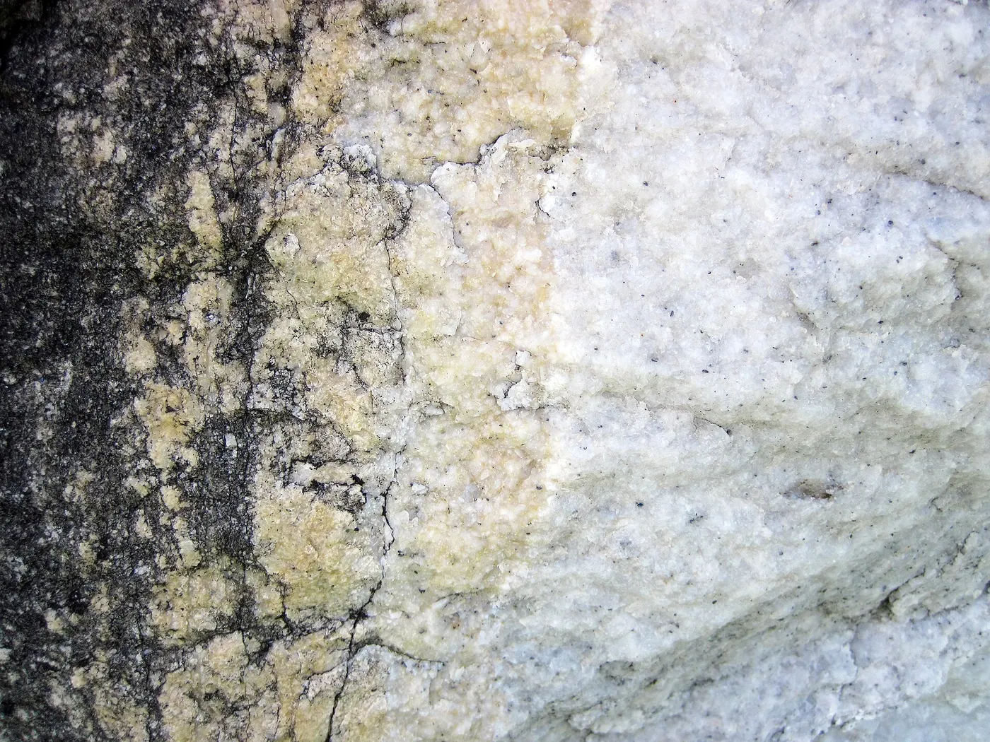 Slab surface: Dolomitized marble in marble (Gouverneur Marble, Mesoproterozoic, ~1.1 Ga; Route 11 roadcu