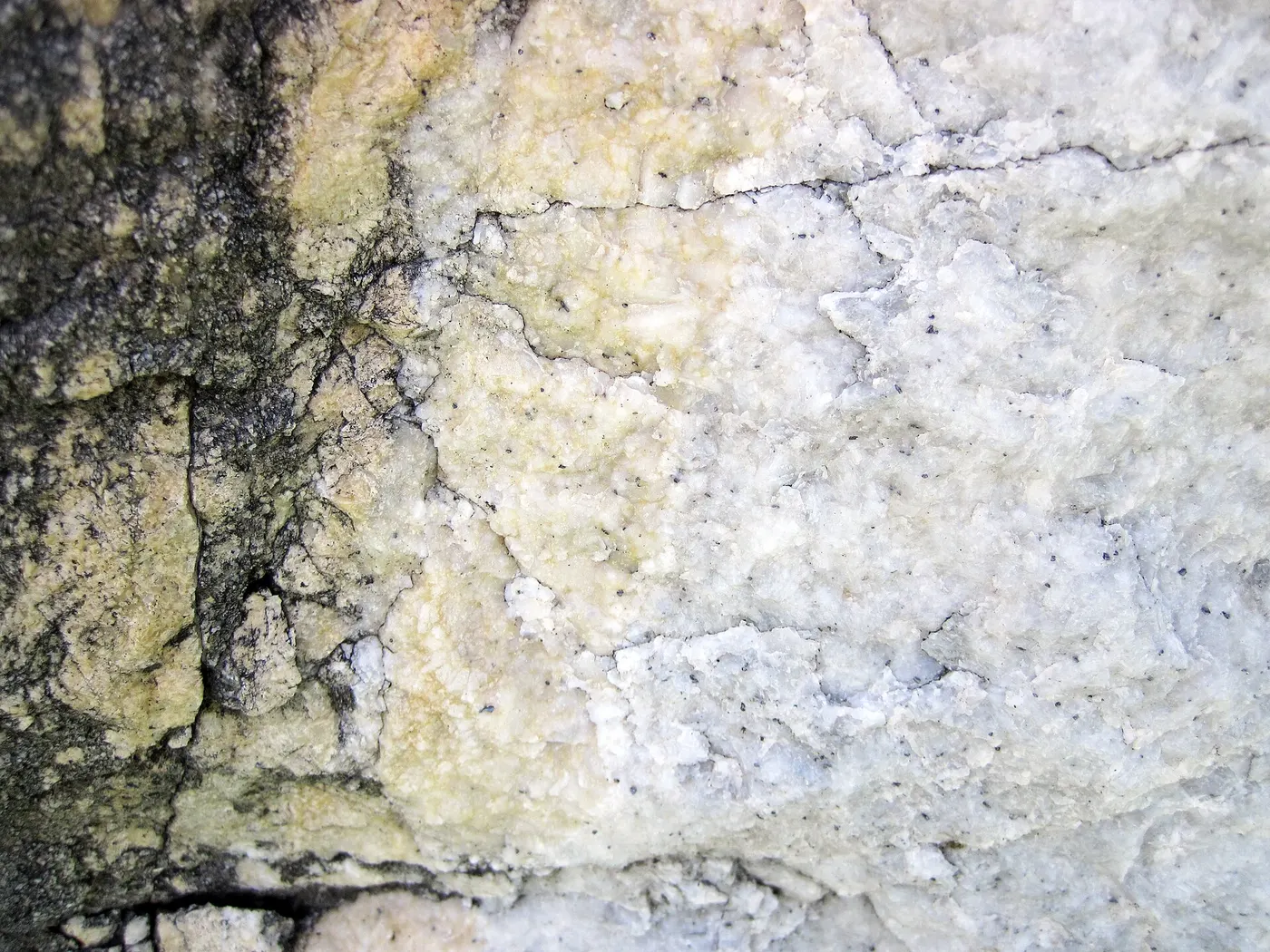 Plattenoberfläche: Dolomitized marble in marble (Gouverneur Marble, Mesoproterozoic, ~1.1 Ga; Route 11 roadcu