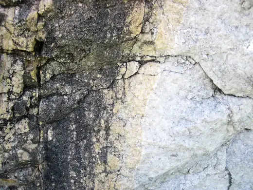 Superficie di lastra: Dolomitized marble in marble (Gouverneur Marble, Mesoproterozoic, ~1.1 Ga; Route 11 roadcu