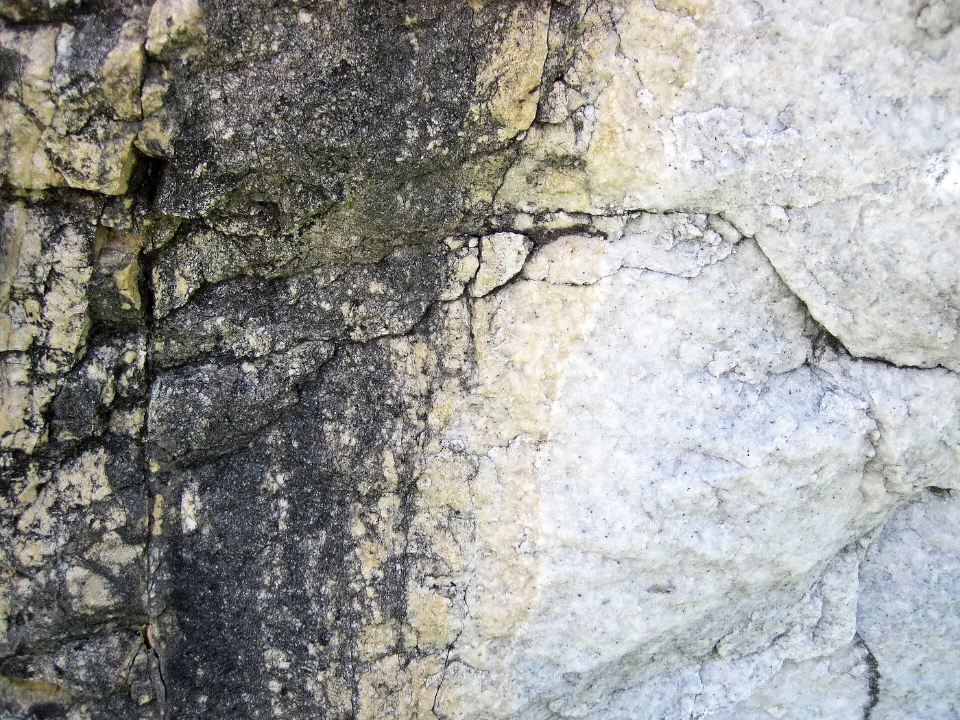 Superficie di lastra: Dolomitized marble in marble (Gouverneur Marble, Mesoproterozoic, ~1.1 Ga; Route 11 roadcu