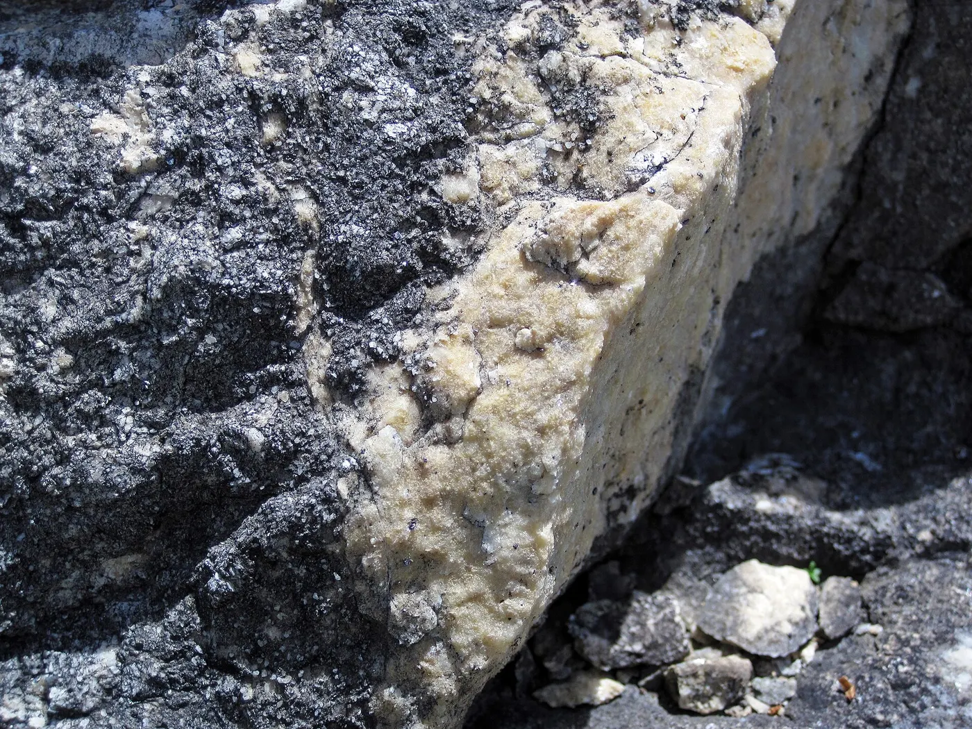 Slab surface: Dolomitized marble in marble (Gouverneur Marble, Mesoproterozoic, ~1.1 Ga; Route 11 roadcu