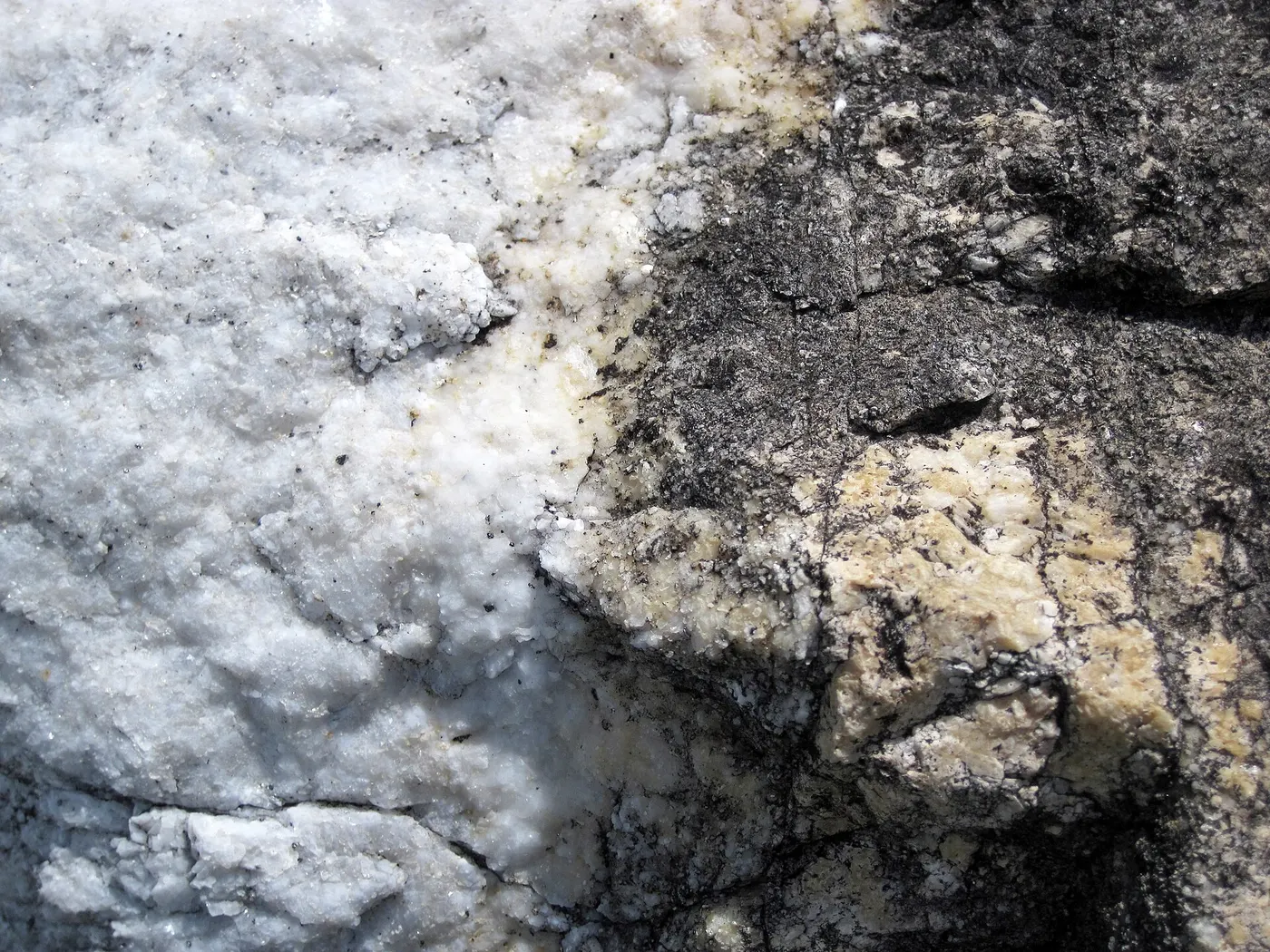Surface de dalle: Dolomitized marble in marble (Gouverneur Marble, Mesoproterozoic, ~1.1 Ga; Route 11 roadcu
