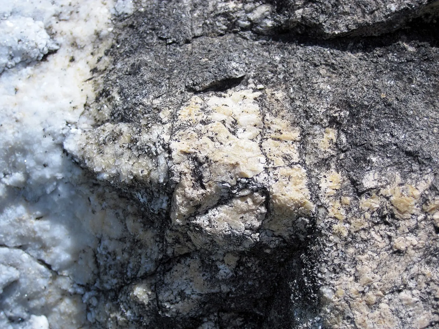 Поверхность плиты: Dolomitized marble in marble (Gouverneur Marble, Mesoproterozoic, ~1.1 Ga; Route 11 roadcu
