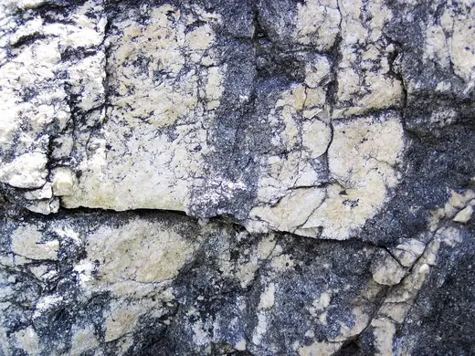 Slab surface: Dolomitized marble in marble (Gouverneur Marble, Mesoproterozoic, ~1.1 Ga; Route 11 roadcu