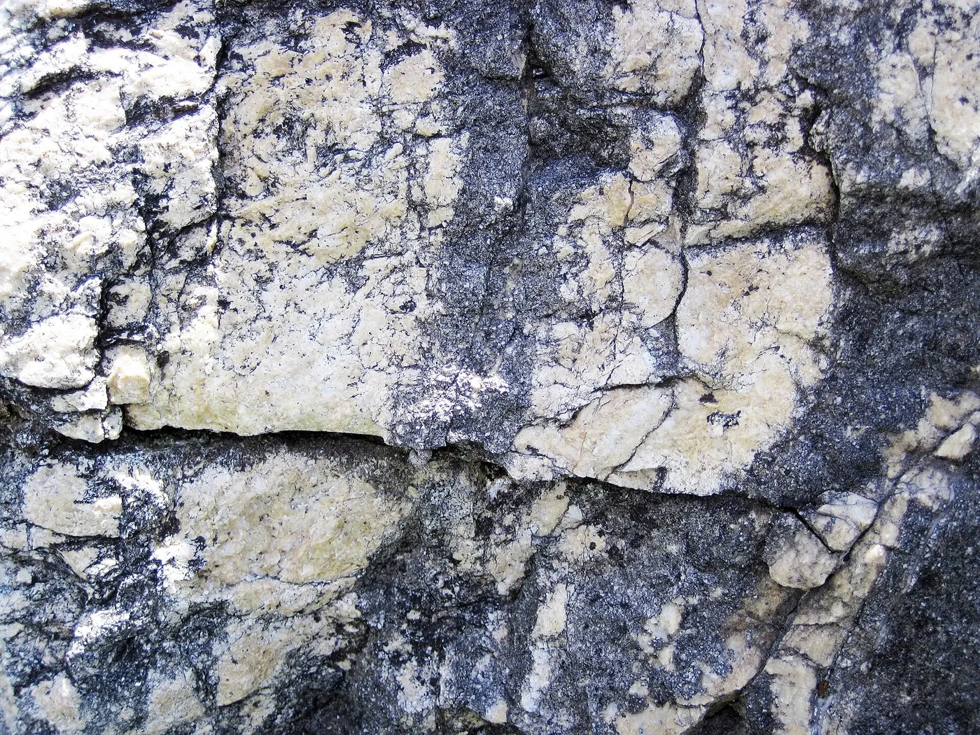 Поверхность плиты: Dolomitized marble in marble (Gouverneur Marble, Mesoproterozoic, ~1.1 Ga; Route 11 roadcu