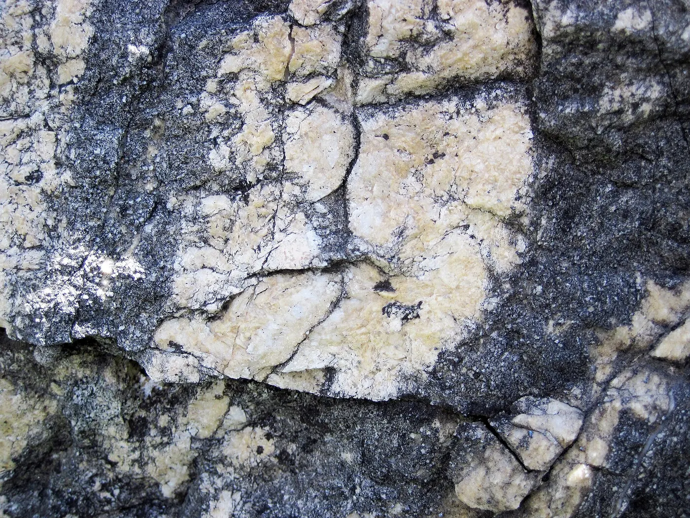 Superficie de losa: Dolomitized marble in marble (Gouverneur Marble, Mesoproterozoic, ~1.1 Ga; Route 11 roadcu