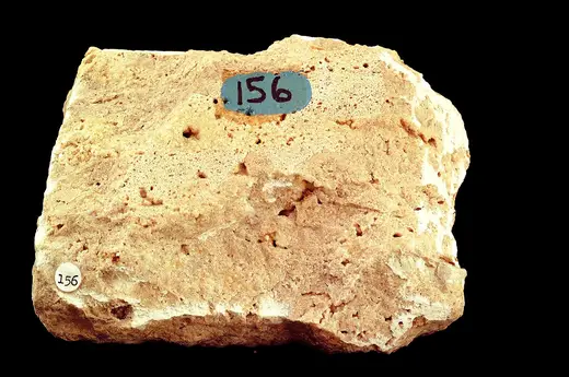 Slab surface: Travertine (GeoDIL number - 489)