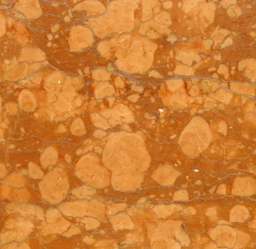 Superficie de losa: Rosso Verona Marble (Rosso Ammonitico Formation, Upper Jurassic; Verona Province, Venetia 
