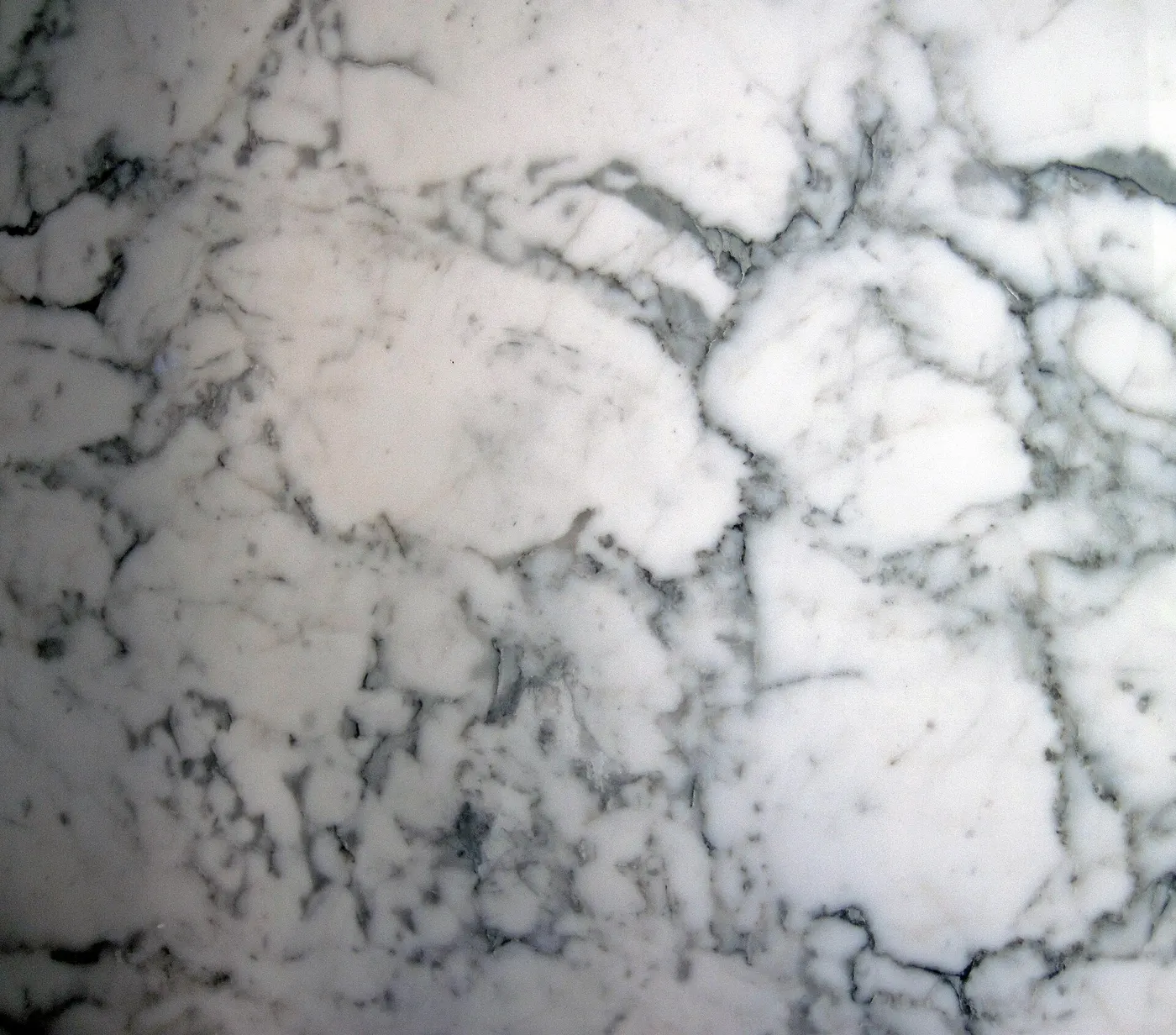 Surface de dalle: Statuarietto White Marble (Apuan Marble Formation, Tertiary metamorphism of Jurassic limes