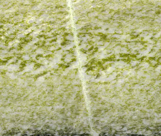 Superficie de losa: Irish Green Marble (Connemara Marble Formation, Neoproterozoic; Ordovician metamorphism; G