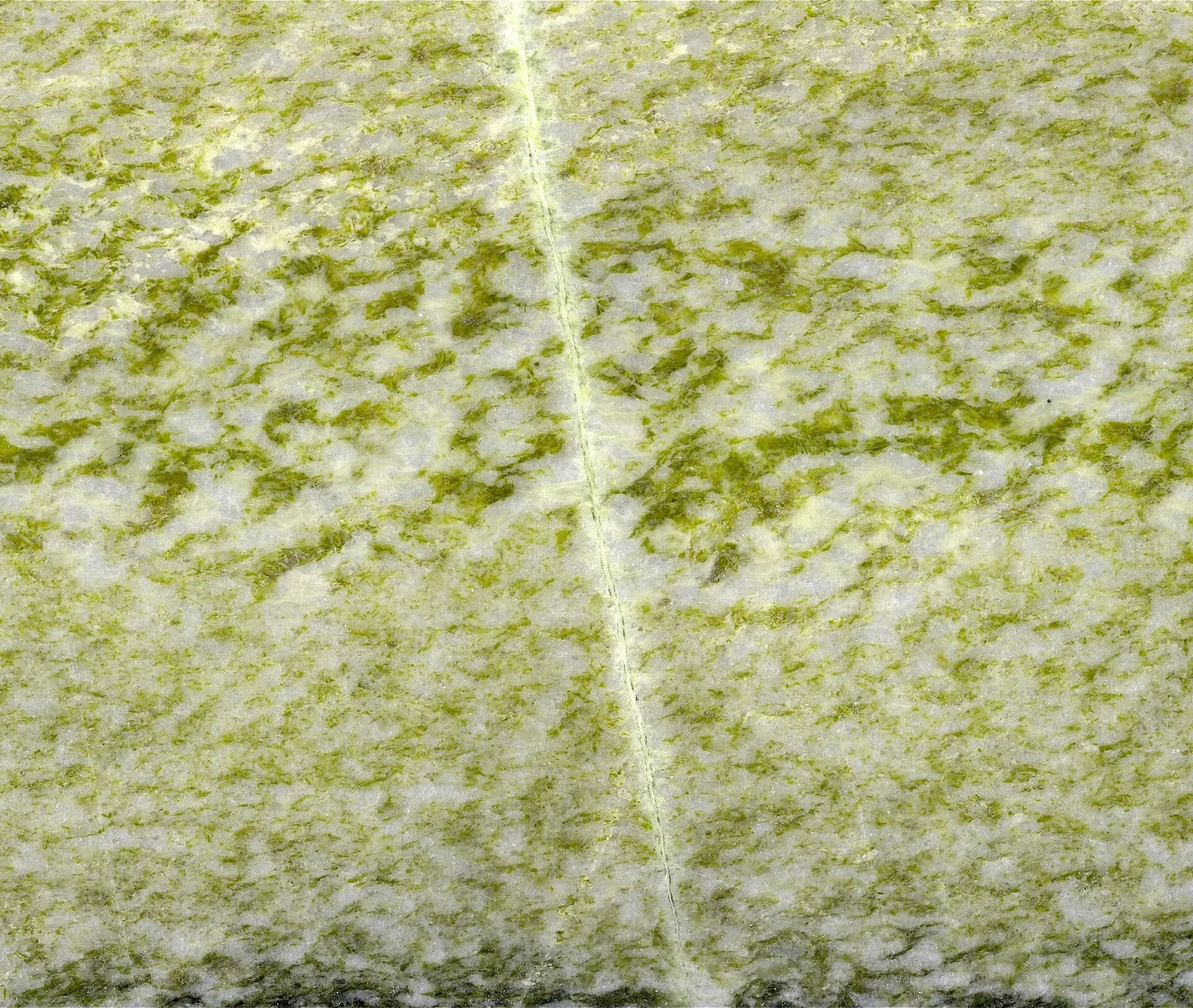 Slab surface: Irish Green Marble (Connemara Marble Formation, Neoproterozoic; Ordovician metamorphism; G