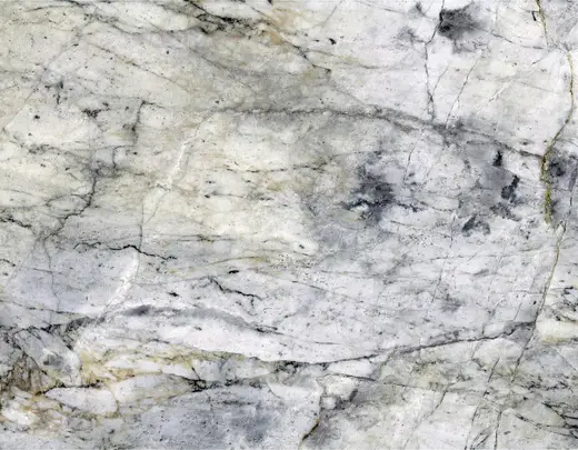 Superficie di lastra: Vermont White Marble (Shelburne Formation, Pennsylvanian metamorphism of Ordovician limest