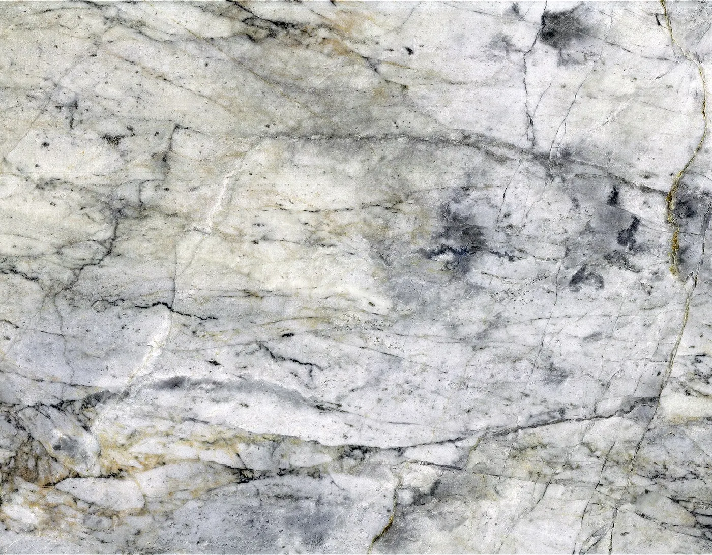 Slab surface: Vermont White Marble (Shelburne Formation, Pennsylvanian metamorphism of Ordovician limest