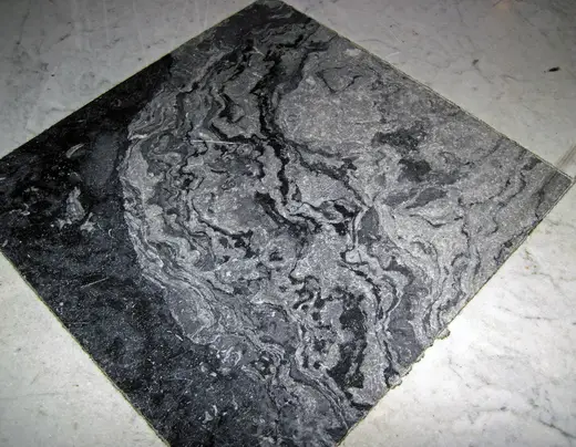 Superficie di lastra: Fossil mound in limestone (Champlain Black Marble) (Crown Point Limestone, Middle Ordovici