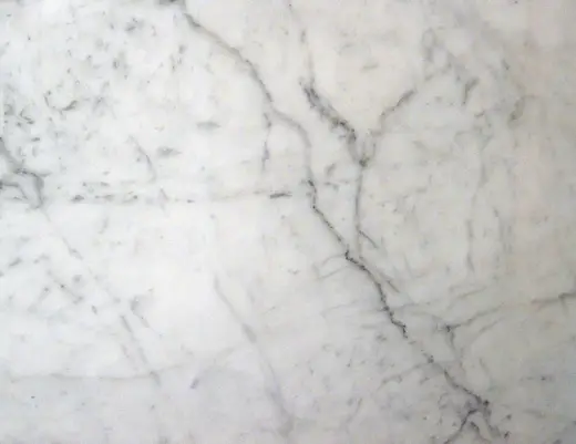 Superficie di lastra: Statuarietto White Marble (Apuan Marble Formation, Tertiary metamorphism of Jurassic limes