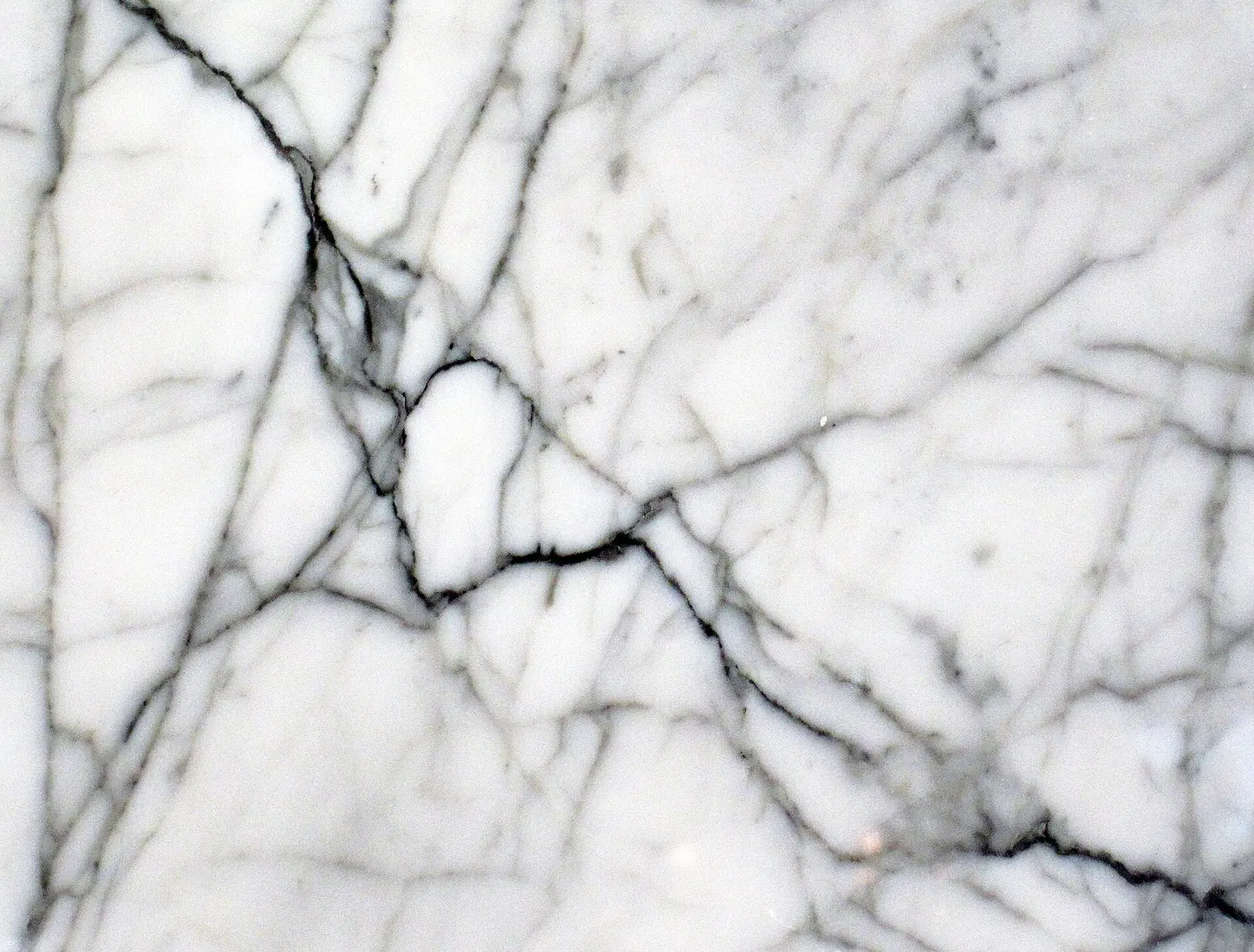 Superficie di lastra: Statuarietto White Marble (Apuan Marble Formation, Tertiary metamorphism of Jurassic limes
