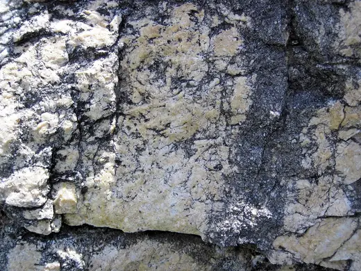 Superficie di lastra: Dolomitized marble in marble (Gouverneur Marble, Mesoproterozoic, ~1.1 Ga; Route 11 roadcu