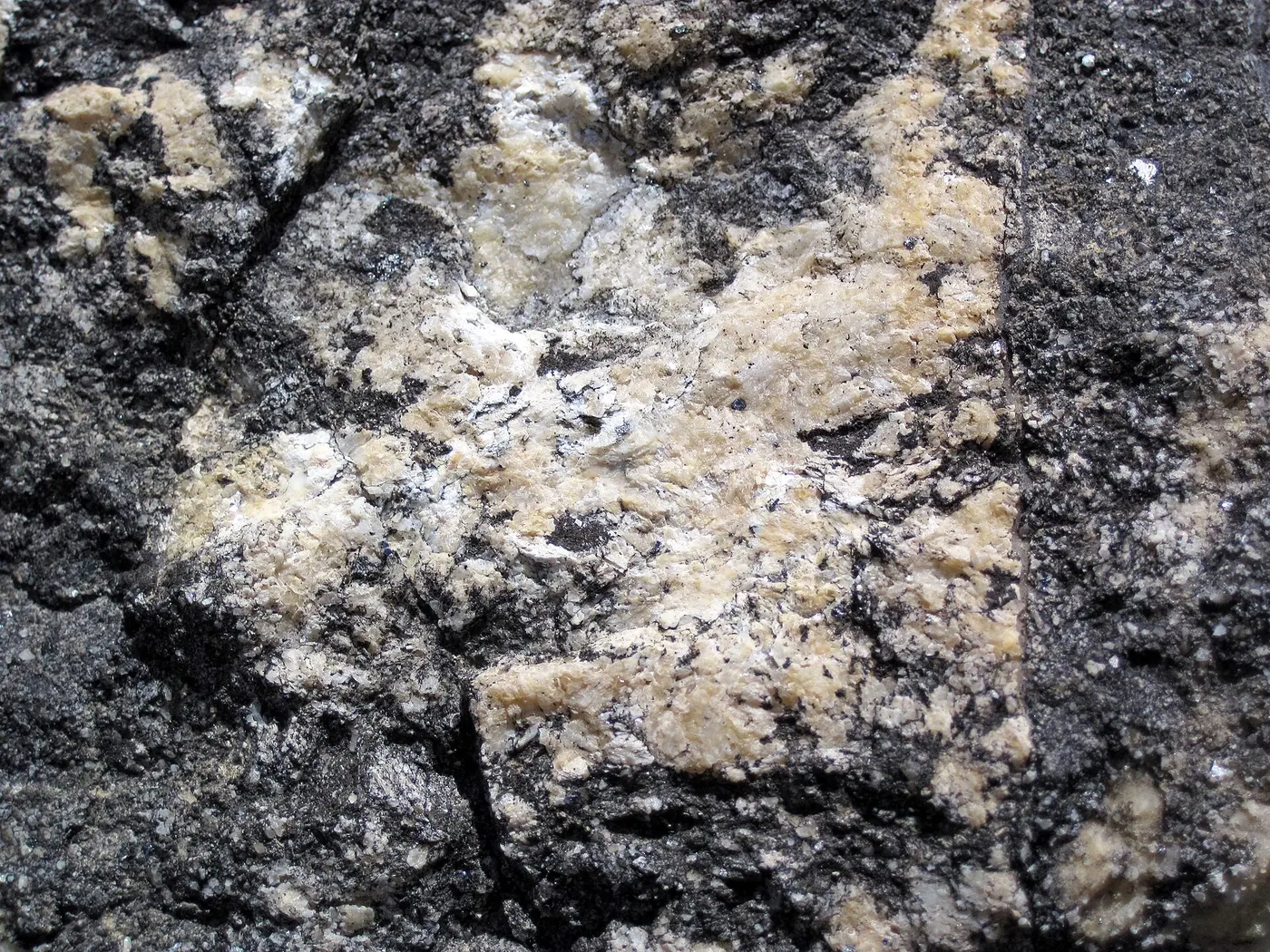 Surface de dalle: Dolomitized marble in marble (Gouverneur Marble, Mesoproterozoic, ~1.1 Ga; Route 11 roadcu