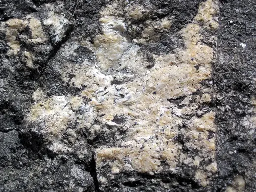 Superficie di lastra: Dolomitized marble in marble (Gouverneur Marble, Mesoproterozoic, ~1.1 Ga; Route 11 roadcu