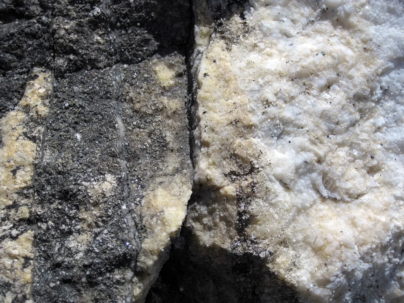 Plattenoberfläche: Dolomitized marble in marble (Gouverneur Marble, Mesoproterozoic, ~1.1 Ga; Route 11 roadcu