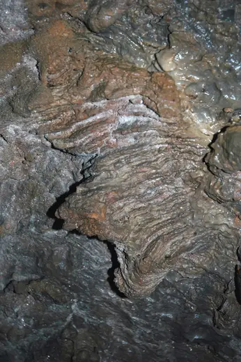 Revestimiento de pared: 129 Stromatoporoid wall 23