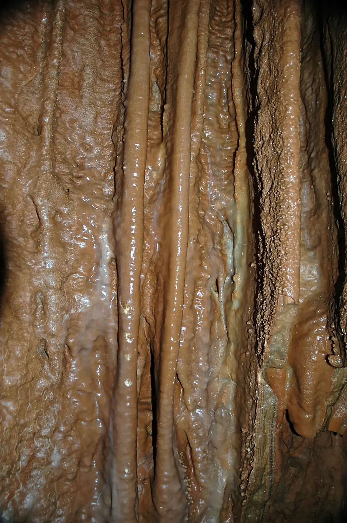 Rivestimento a parete: 103 Wall speleothem 1