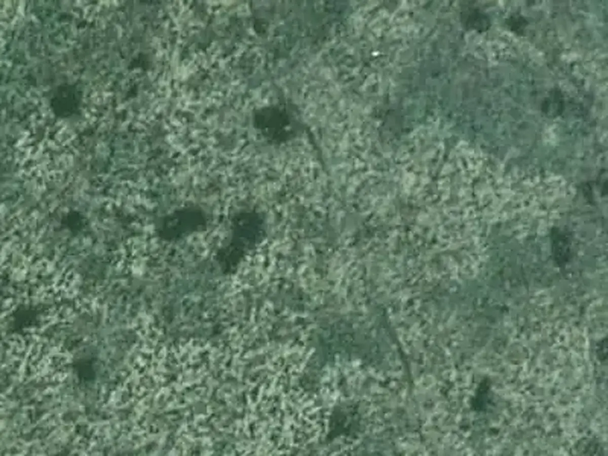 Gemlik Prasino piedra natural, muestra pulida – Marmi di Carrara – verde, gris (1)