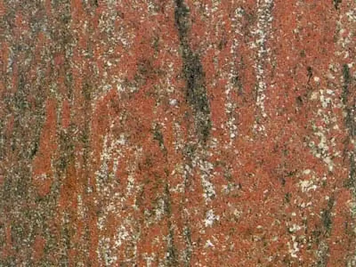 Gran Violet Granit, polierte Probe – Marmi di Carrara – rostrot, gold (1)