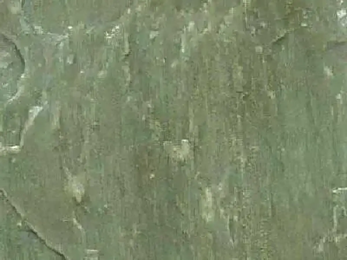 Green Limestone pizarra, muestra pulida – Marmi di Carrara – gris, verde (1)