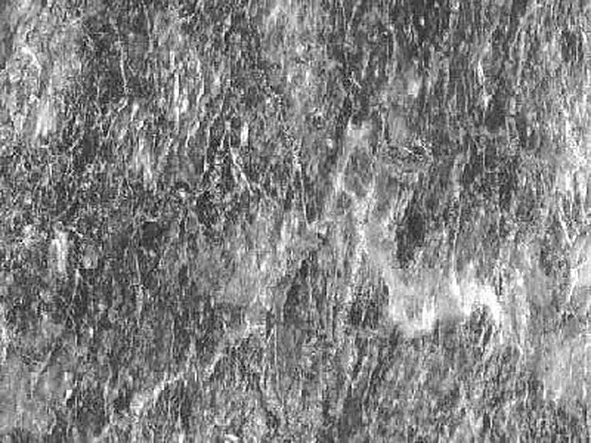 Grey of Aliveri известняк, полированный образец – Marmi di Carrara – серый, светло-серый (1)