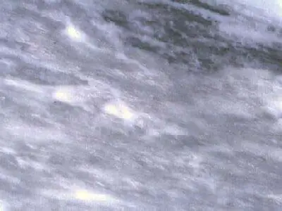 Grey of Tranovaltos Marmor, polierte Probe – Marmi di Carrara – hellgrau, grau (1)