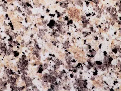 Grigio Sardo Champagne granito