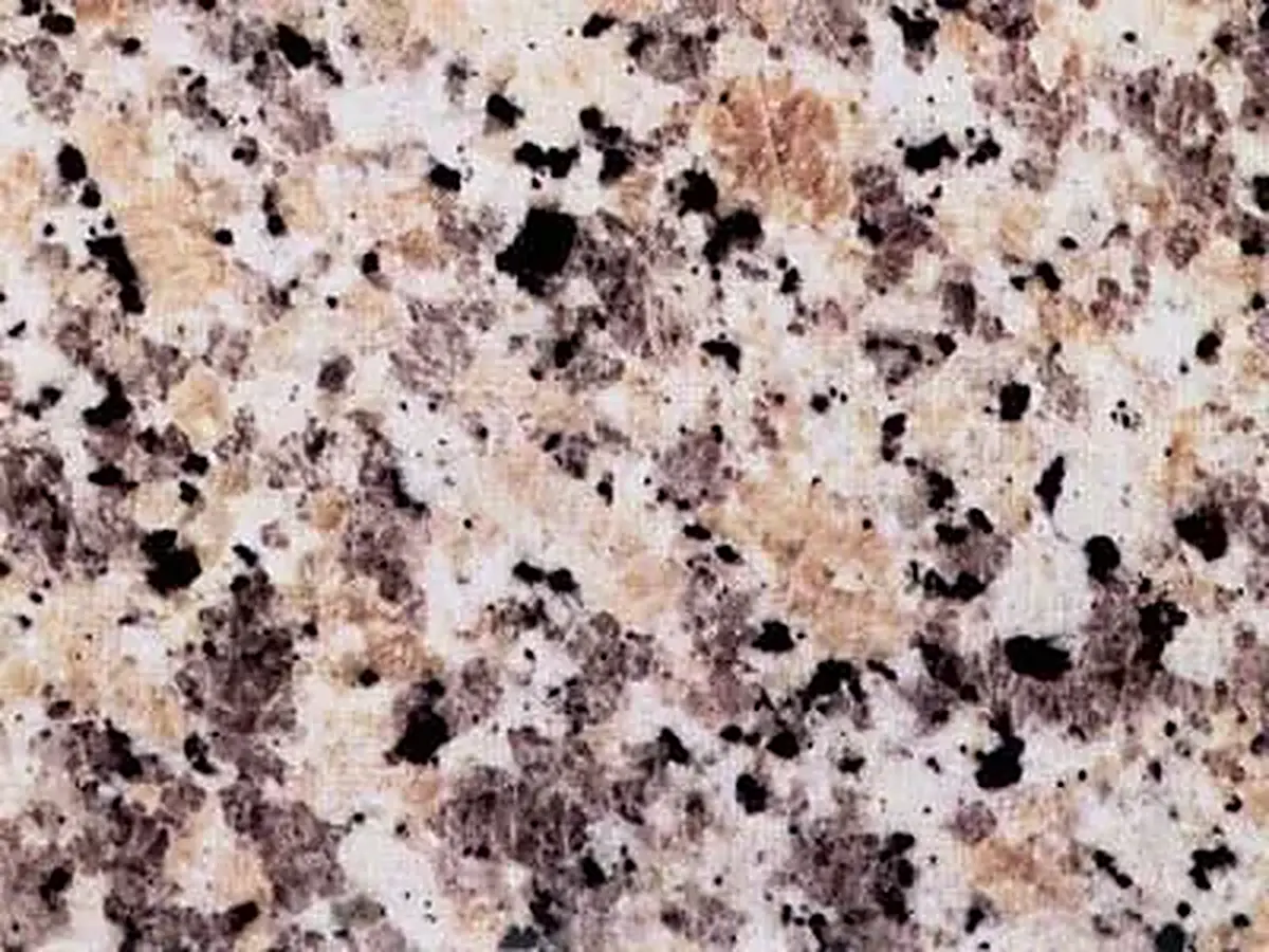 Grigio Sardo Champagne granit, échantillon poli – Marmi di Carrara – gris, rose (1)