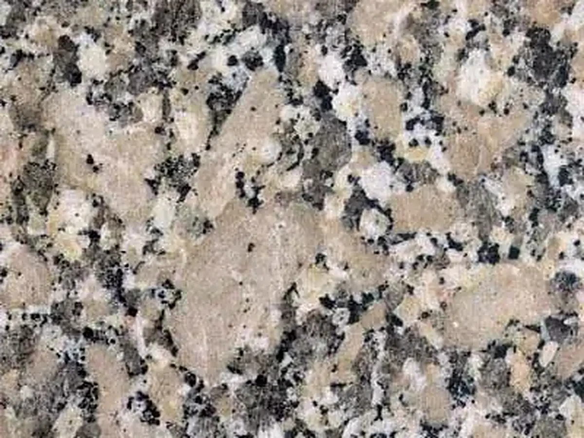 Gris Mondariz granite polished sample – Marmi di Carrara – beige, grey (1)
