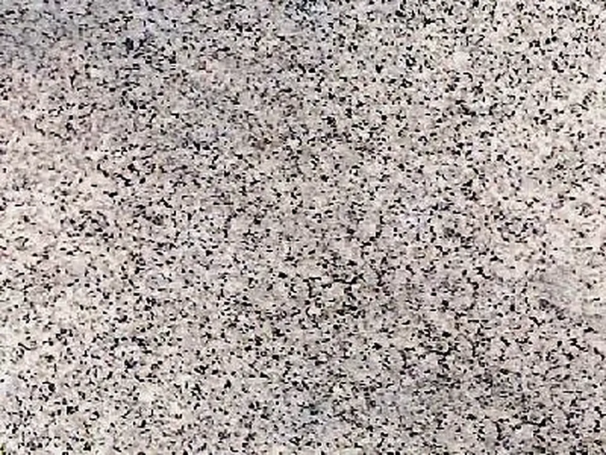 Iran G 159 Granit, polierte Probe – Marmi di Carrara – hellgrau, beige (1)