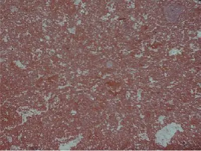 Iran G 163 granit, échantillon poli – Marmi di Carrara – violet, brun (1)