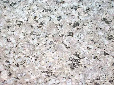 Iran G 181 granit, échantillon poli – Marmi di Carrara – gris clair, ivoire (1)