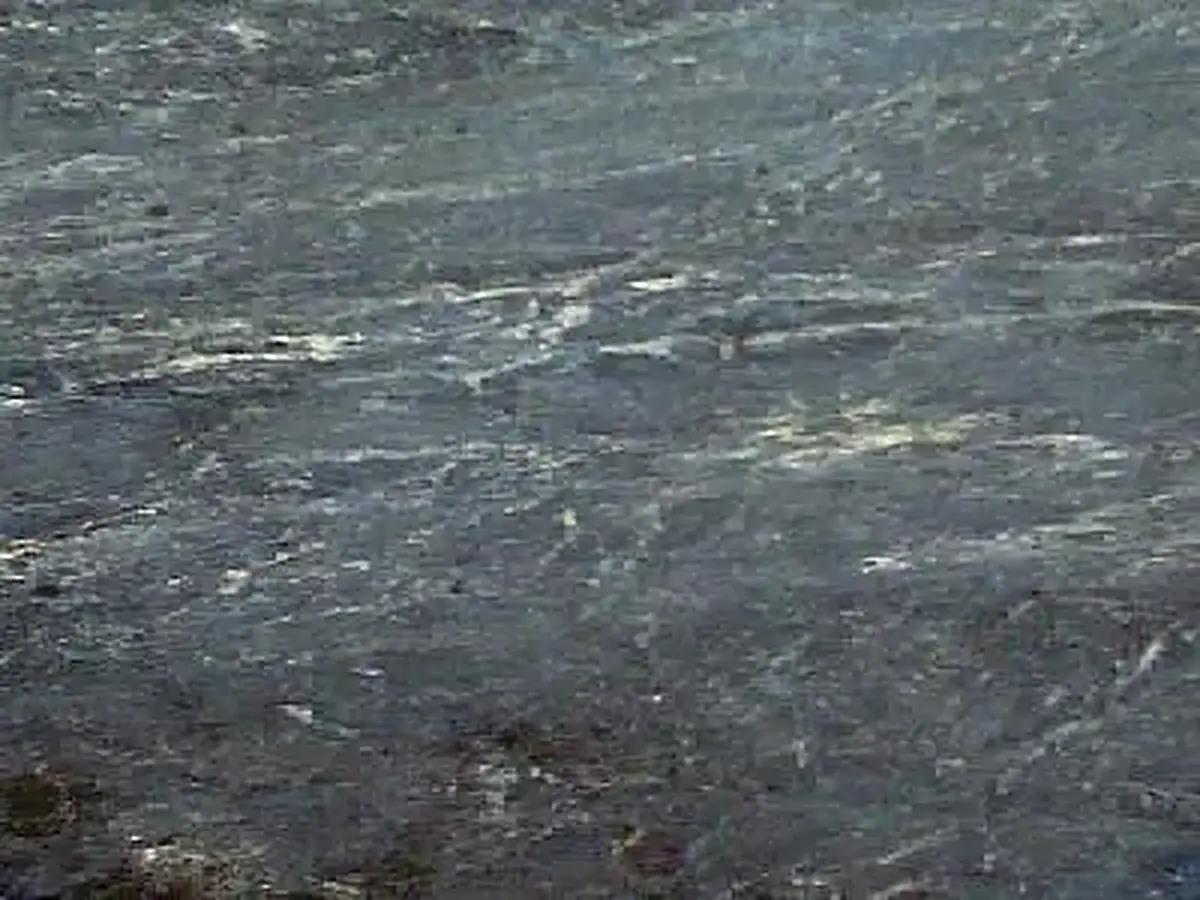 Iran G 184 granit, échantillon poli – Marmi di Carrara – vert, anthracite (1)