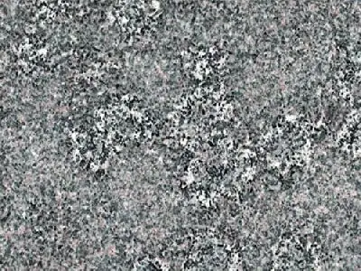 Iran G 191 granit, échantillon poli – Marmi di Carrara – gris, vert (1)