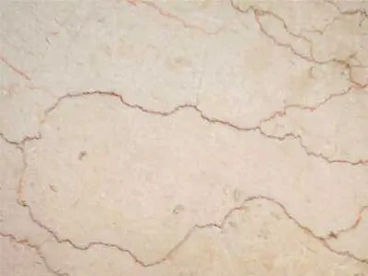 Iran M 203 limestone polished sample – Marmi di Carrara – ivory, light grey (1)